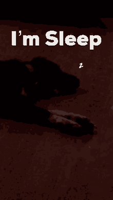 Doggo Pupper GIF - Doggo Pupper Puppy GIFs