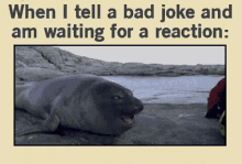 When I Tell A Bad Joke Waiting For A Reaction GIF - When I Tell A Bad Joke Waiting For A Reaction Bad Joke GIFs