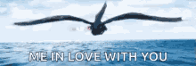 How To Train Your Dragon In Love With You GIF - How To Train Your Dragon In Love With You Flying GIFs