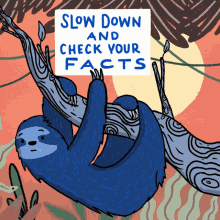 Slow Down And Check Your Facts Sloth GIF - Slow Down And Check Your Facts Sloth Misinformation GIFs
