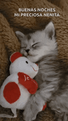 Kittensleep Cute GIF - Kittensleep Cute Catsleep GIFs