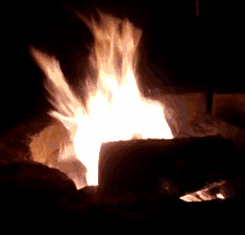 Fire Burn GIF - Fire Burn Hot GIFs