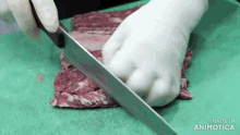 a person is cutting a piece of meat on a cutting board
