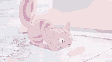 a pink cat with a striped tail is standing on a concrete surface