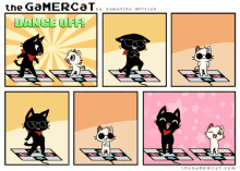 cat gamer
