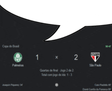 Palmeiras 1x2 Sao Paulo GIF - Palmeiras 1x2 Sao Paulo GIFs