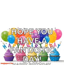 a birthday card with cupcakes and balloons that says hope you have a fantastic day !