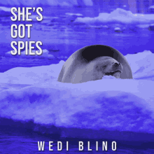 Wedi Blino Shes Got Spies GIF