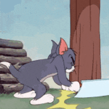 Tom And Jerry Tom Cat GIF - Tom And Jerry Tom Cat Bloodthirsty Tom GIFs