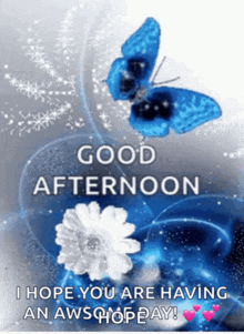 a blue butterfly is flying over a white flower with the words good afternoon i hope you are having an awsome day