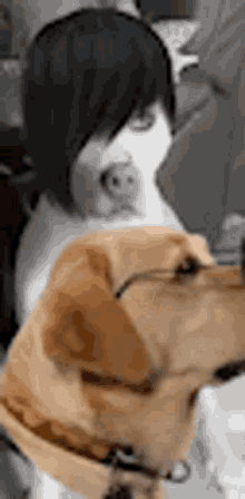 a black and white photo of a person and a dog . the dog is wearing glasses .