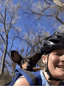 molly chiweenie bike biking selfie
