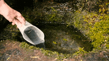 Chibbyr Holy Well GIF - Chibbyr Holy Well Maughold GIFs