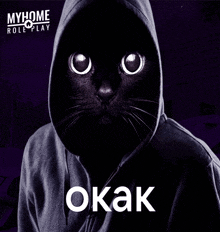 a black cat wearing a hooded sweatshirt with the word okak in white