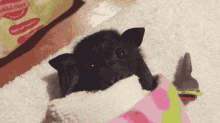 Bat Baby GIF