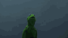 Kermit Sith GIF