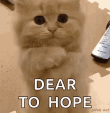 please cat dear to hope