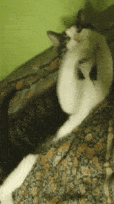 a black and white cat is laying on a floral blanket