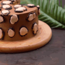 a cake on a wooden cutting board with circles on it