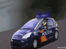 police policia
