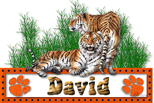 Christmas Cheer Tigers Sticker - Christmas Cheer Tigers David Stickers