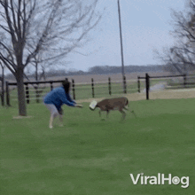 Woman Rescues A Doe Stuck With Jug Deer GIF