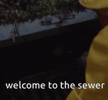 a picture of a clown with the words welcome to the sewer above it
