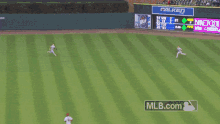 Baseball Fail GIF - Baseball Fail Blooper GIFs