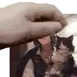a person is holding a cat in their arms and a cat is looking at the camera .