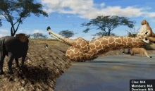 roblox giraffe ludi exploiter wild savannah