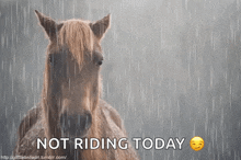 Megosztható Horse GIF - Megosztható Horse Raining GIFs