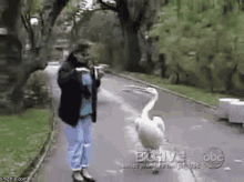 Pelican Angry GIF - Pelican Angry Food GIFs