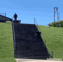 Bike Stunt Grinding GIF - Bike Stunt Grinding Stairs GIFs