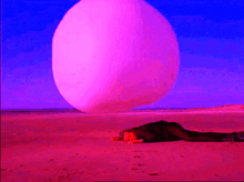 a man is laying on the ground in front of a giant pink ball