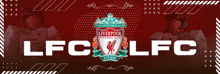 Lfc Liverpool GIF - Lfc Liverpool Goatedpumpkin GIFs