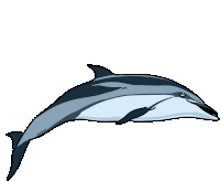 Dolphin Striped Dolphin Sticker - Dolphin Striped Dolphin Euphrosyne Dolphin Stickers