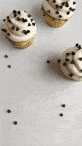Chocolate Chip Cupcakes Cupcake GIF - Chocolate Chip Cupcakes Cupcake Dessert GIFs