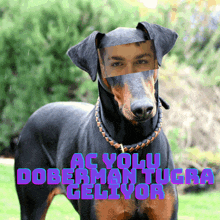 a doberman dog with a man 's face on its head