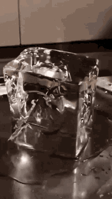 Clear Ice Stamped Ice GIF - Clear Ice Stamped Ice Ice Stamp GIFs