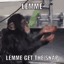 Lemme Get The Snap Monkey Snapchat GIF - Lemme Get The Snap Monkey Snapchat Chimp Snapchat GIFs