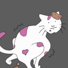Cat Shaking GIF - Cat Shaking Pooping GIFs
