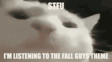 Radal Fall Guys GIF