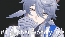 a cartoon character with the words # 1 gopher wood yume