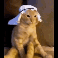 GIF