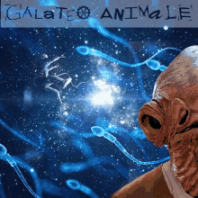 Galateo Animale Its A Trap GIF