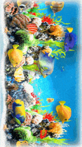 a painting of a coral reef with colorful fish and seashells