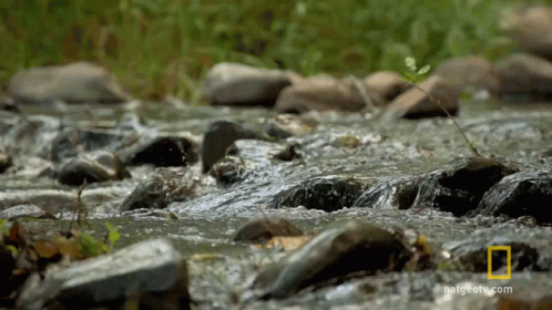 moving river gif