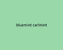 Bmcm Bluemint GIF - Bmcm Bluemint Carlmint GIFs