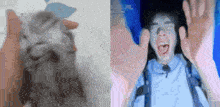a close up of a cat and a close up of a man screaming
