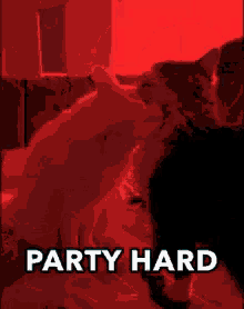 Cats Party GIF - Cats Party Fight GIFs